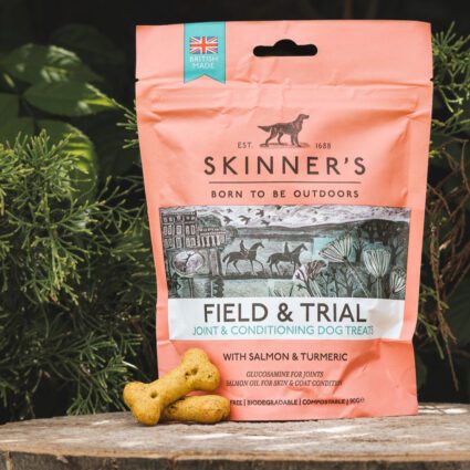 salmon and turmeric dog treats great for joints, skin and coat